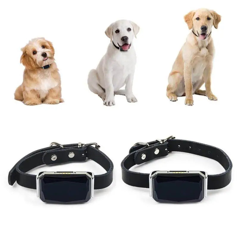 Collier GPS pour Animaux - Sécurité et Tranquillité d’Esprit