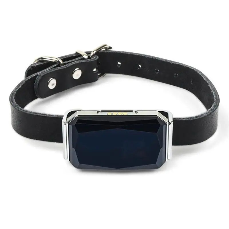 Collier GPS pour Animaux - Sécurité et Tranquillité d’Esprit
