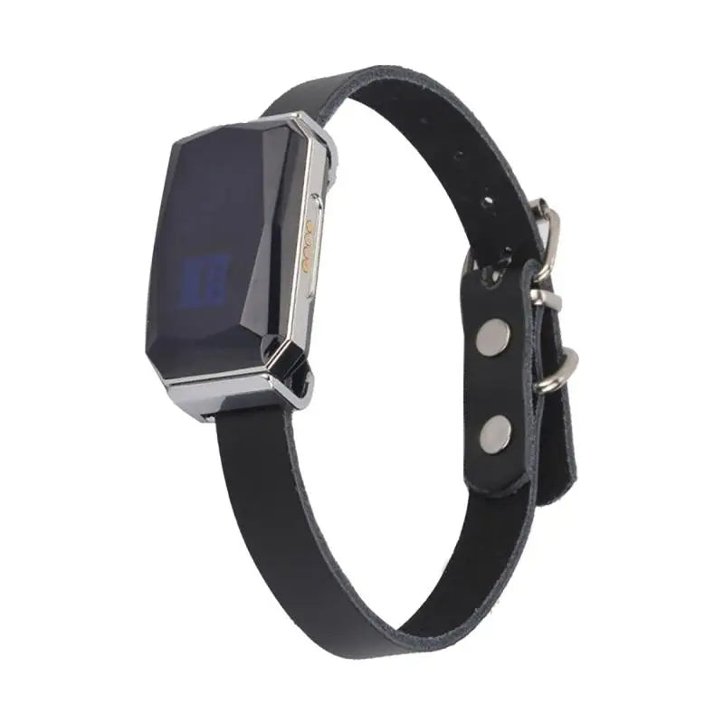 Collier GPS pour Animaux - Sécurité et Tranquillité d’Esprit