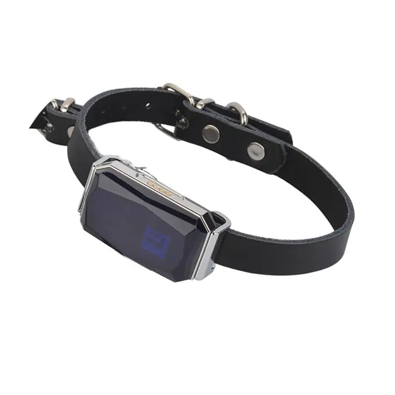 Collier GPS pour Animaux - Sécurité et Tranquillité d’Esprit
