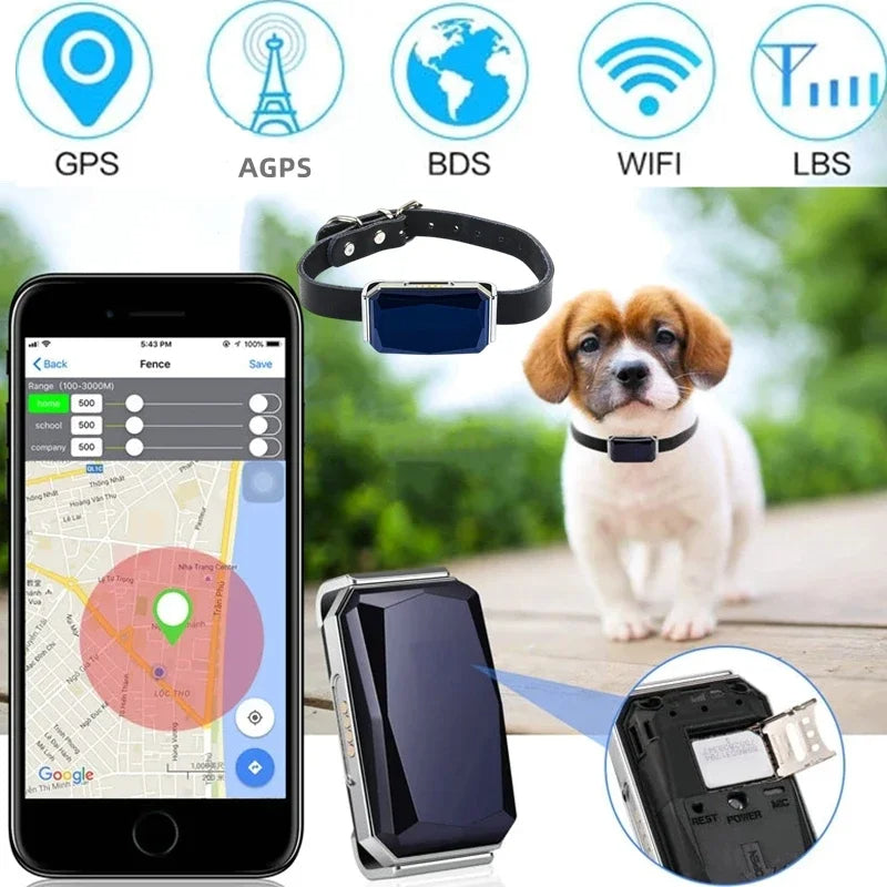 Collier GPS pour Animaux - Sécurité et Tranquillité d’Esprit