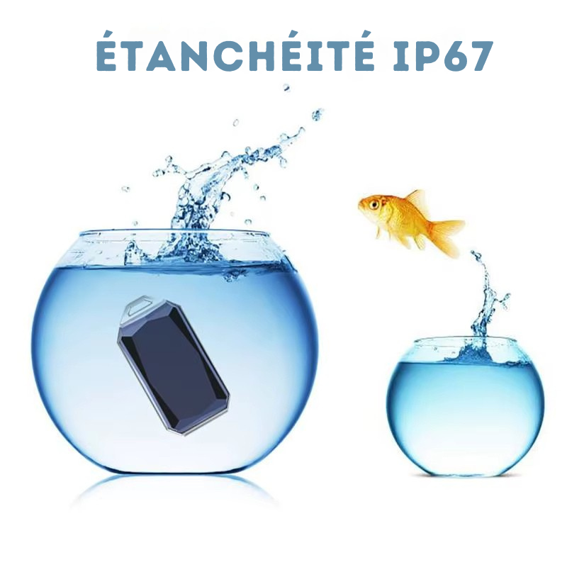 Collier GPS pour Animaux - Sécurité et Tranquillité d’Esprit