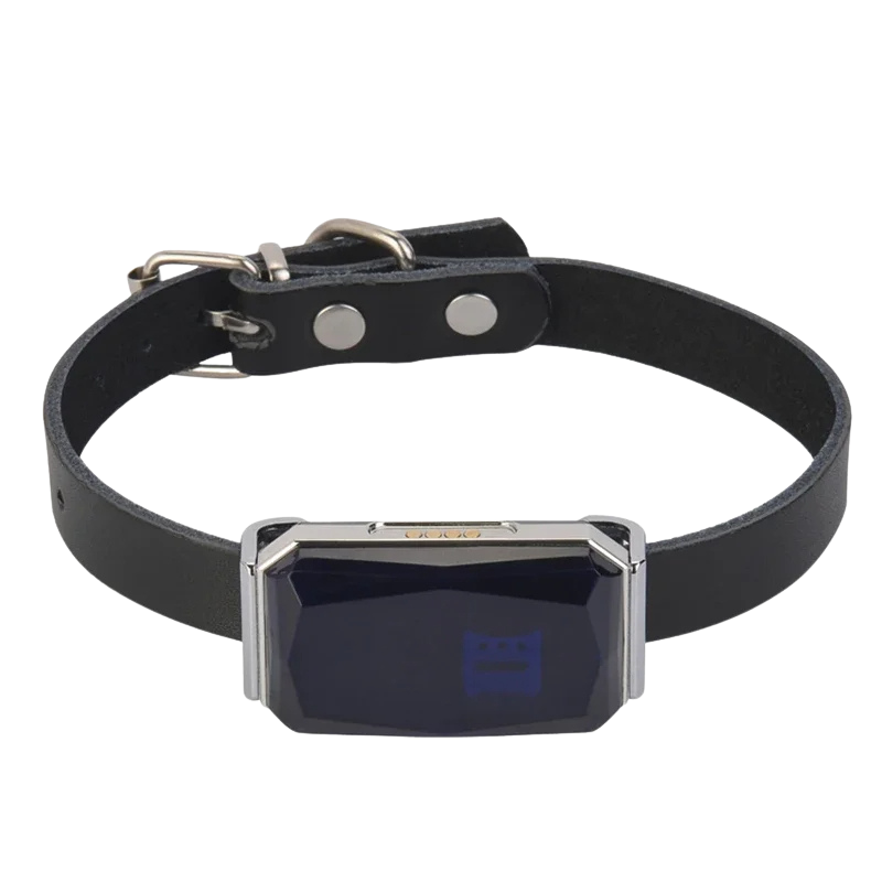 Collier GPS pour Animaux - Sécurité et Tranquillité d’Esprit