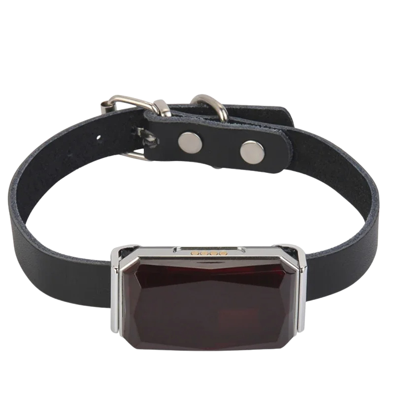 Collier GPS pour Animaux - Sécurité et Tranquillité d’Esprit